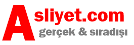 Asıllık, köklülük, soyluluk, gerçeklik arıyormusunuz.?