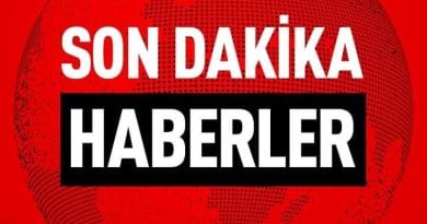 491949467 122101525196840313 1076617511448978716 n