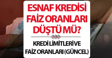 Esnaf kredisi faiz oranları devlet destekli 2025