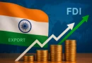 Doğrudan Yabancı Yatırım (FDI) Artışı