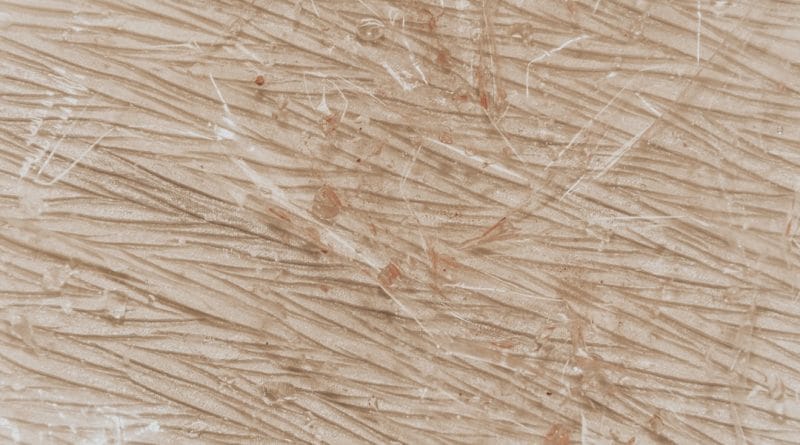 akilli ev sistemleri daha uygun fiyatli hale geliyor